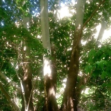 Фотография мужчины Sergio, 41 год из г. Ашхабад